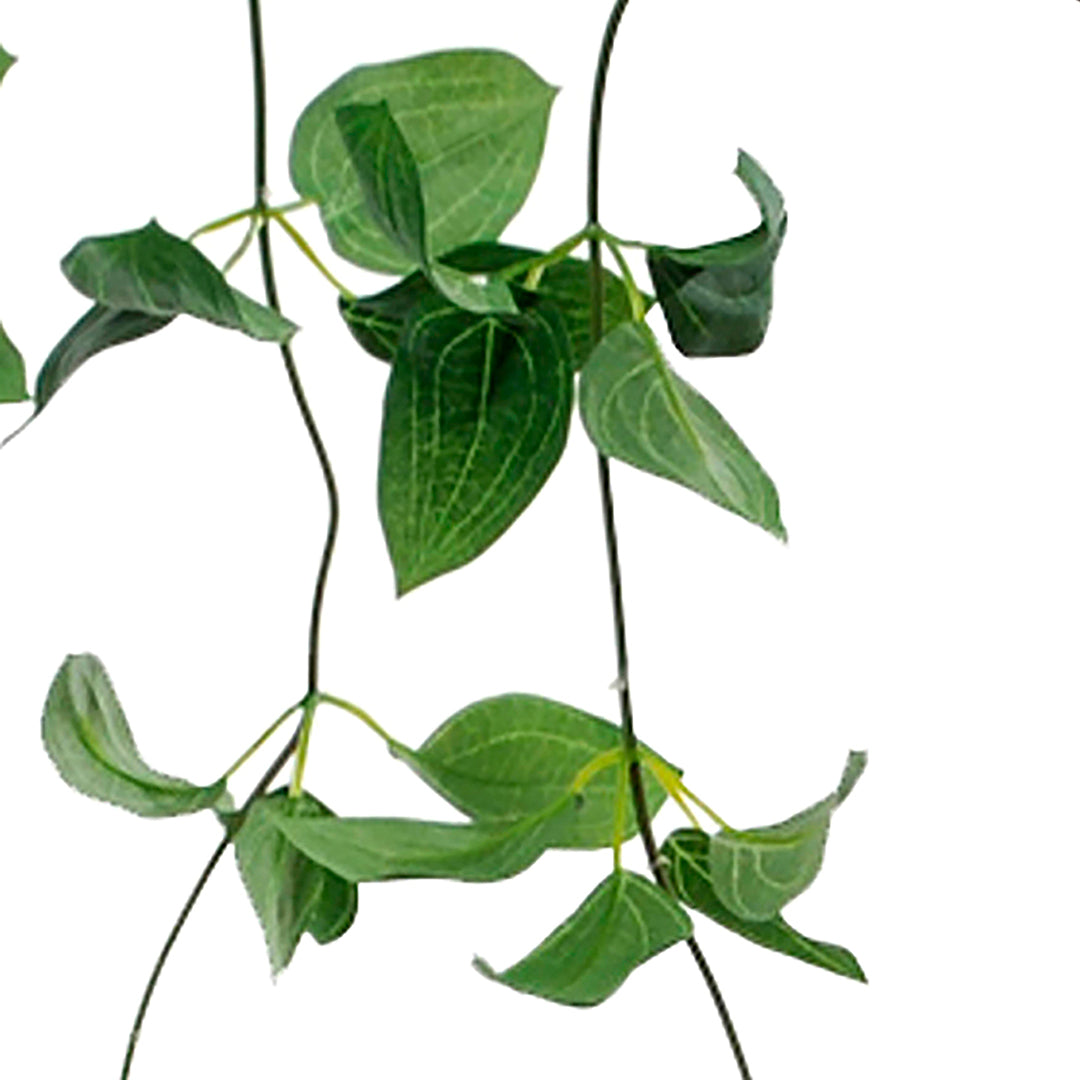 3 Pezzi • Ramo di philo artificiale • 102 cm