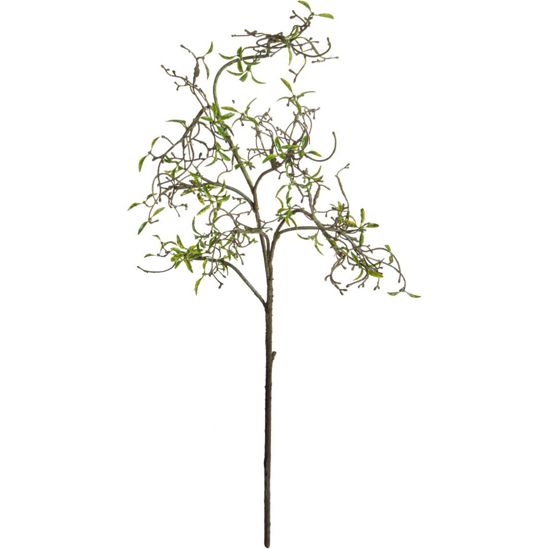 Tralcio Nocciolo • 105 cm