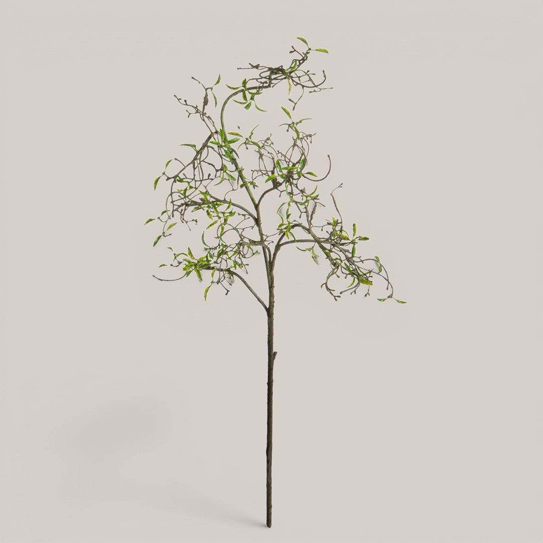 Tralcio Nocciolo • 105 cm