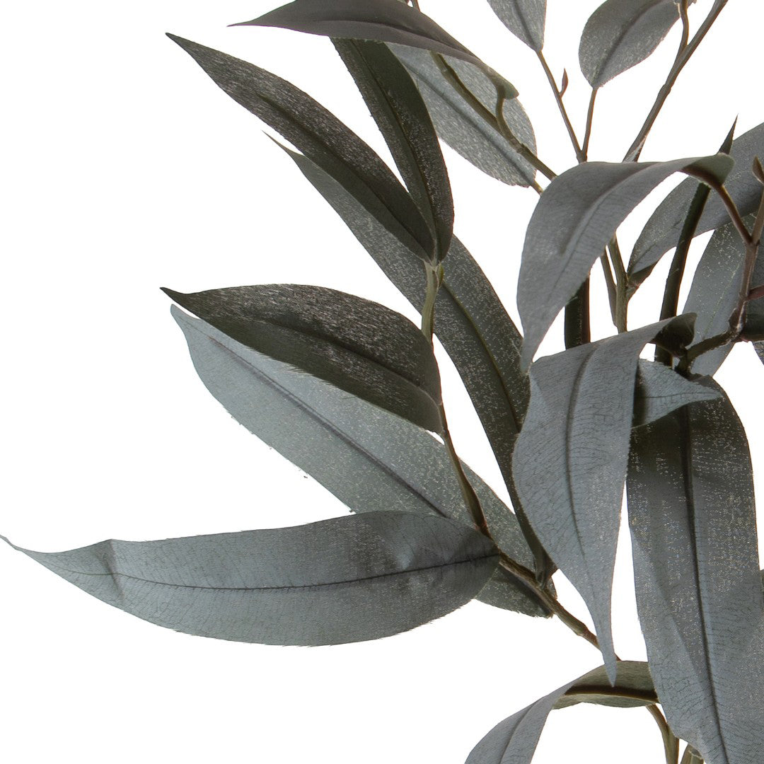 Ramo di Eucalyptus • 74 cm