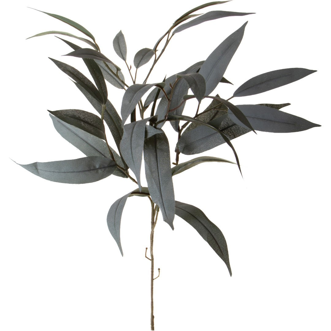 Ramo di Eucalyptus • 74 cm
