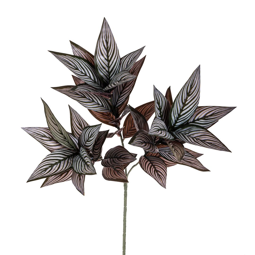 3 Pezzi • Ramo foglia calathea 39 foglie artificiale • 70 cm
