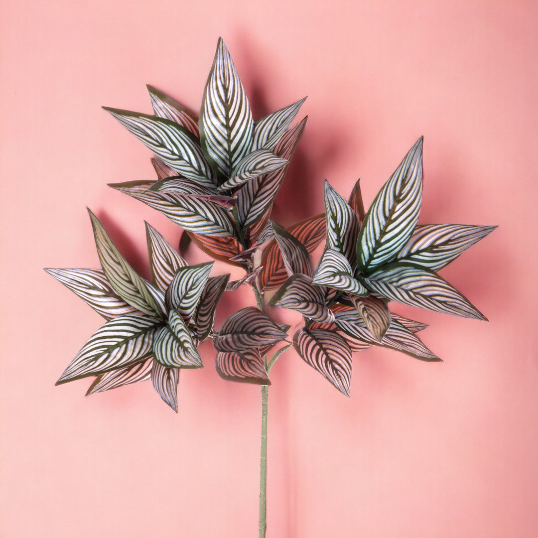 3 Pezzi • Ramo foglia calathea 39 foglie artificiale • 70 cm