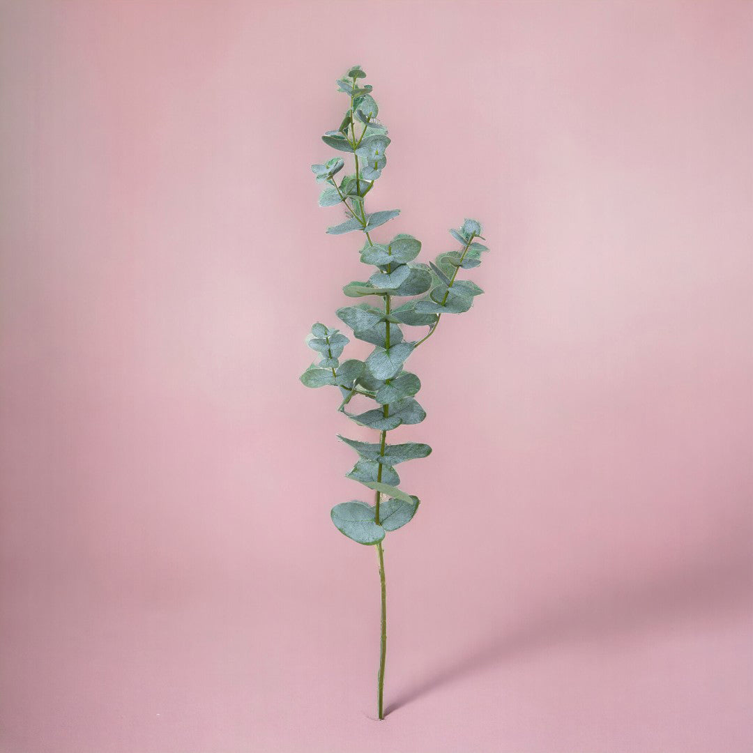 2 Pezzi • Eucalipto ramo artificiale • 75 cm