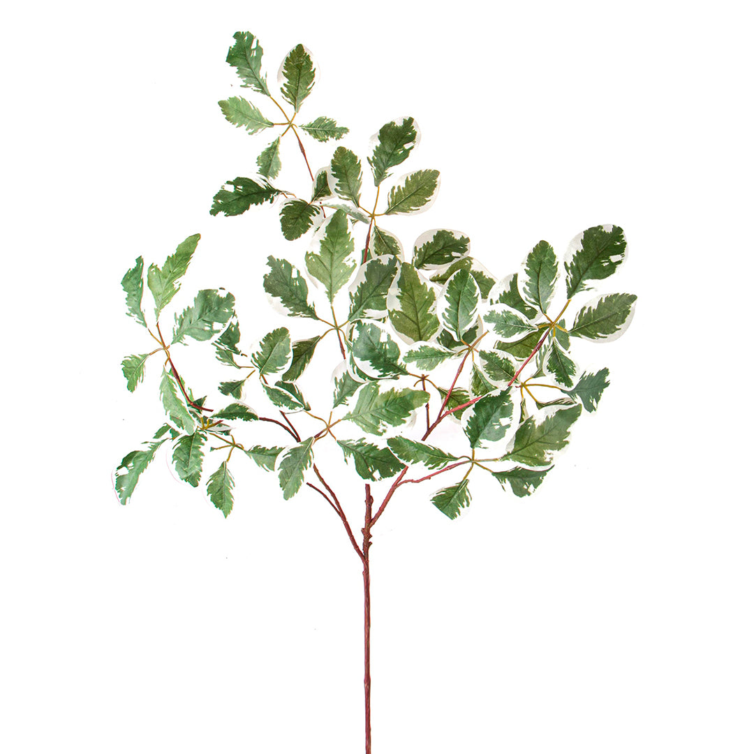 2 Pezzi • Tralcio foglie variegate artificiale • 103 cm