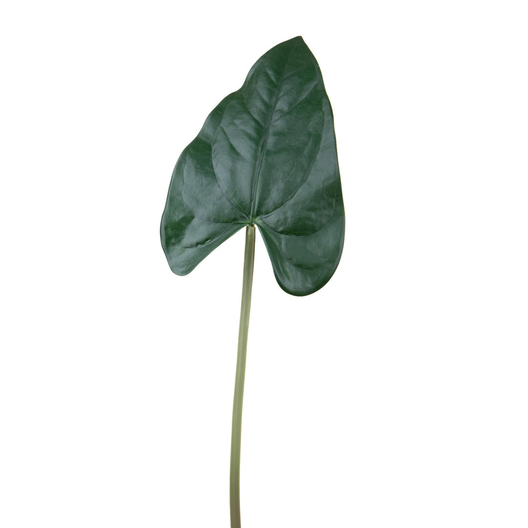 4 Pezzi • Foglia anthurium artificiale • 55 cm