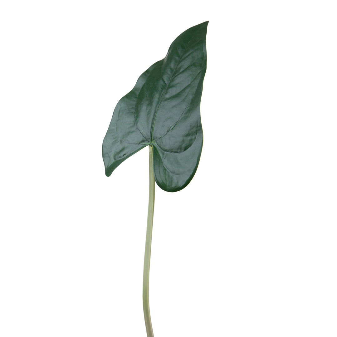 4 Pezzi • Foglia anthurium artificiale • 55 cm