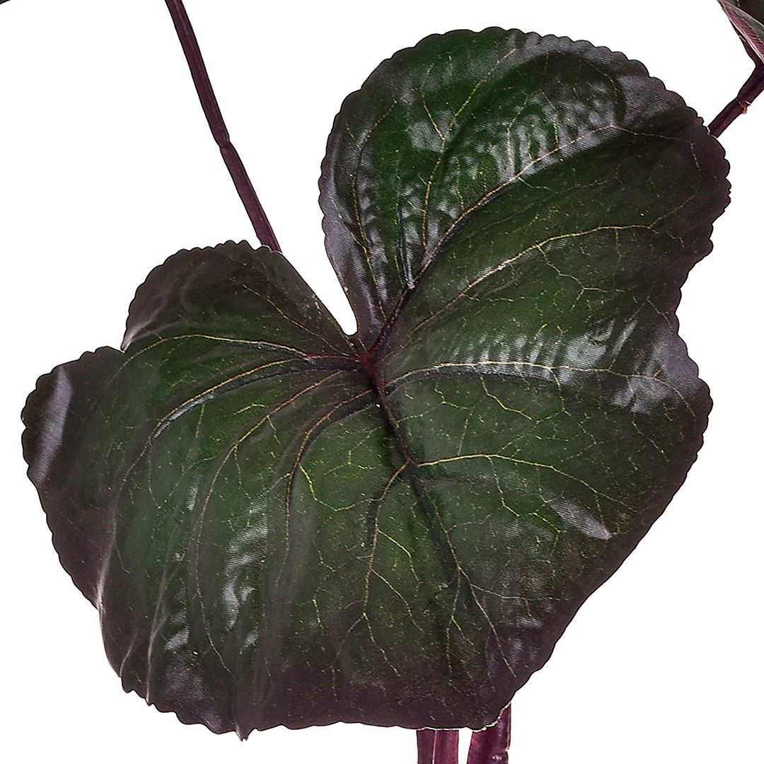 2 Pezzi • Foglia di ligularia artificiale • 73 cm