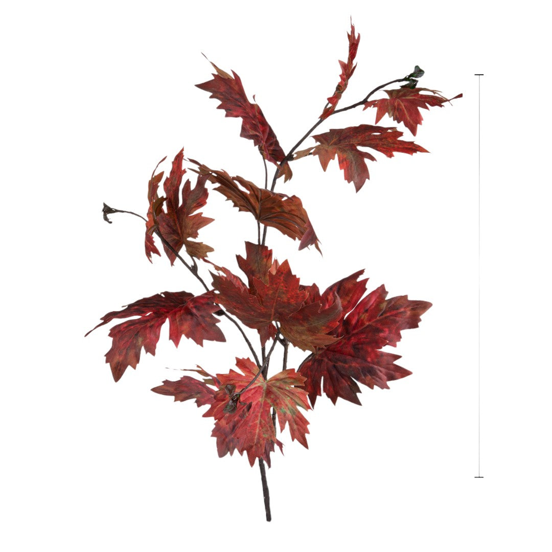 2 Pezzi • Platano autunnale grande • 98 cm