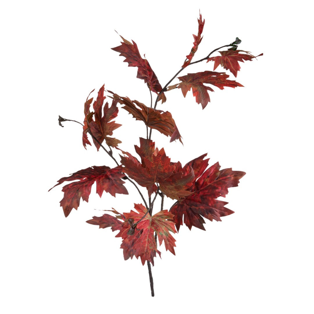 2 Pezzi • Platano autunnale grande • 98 cm