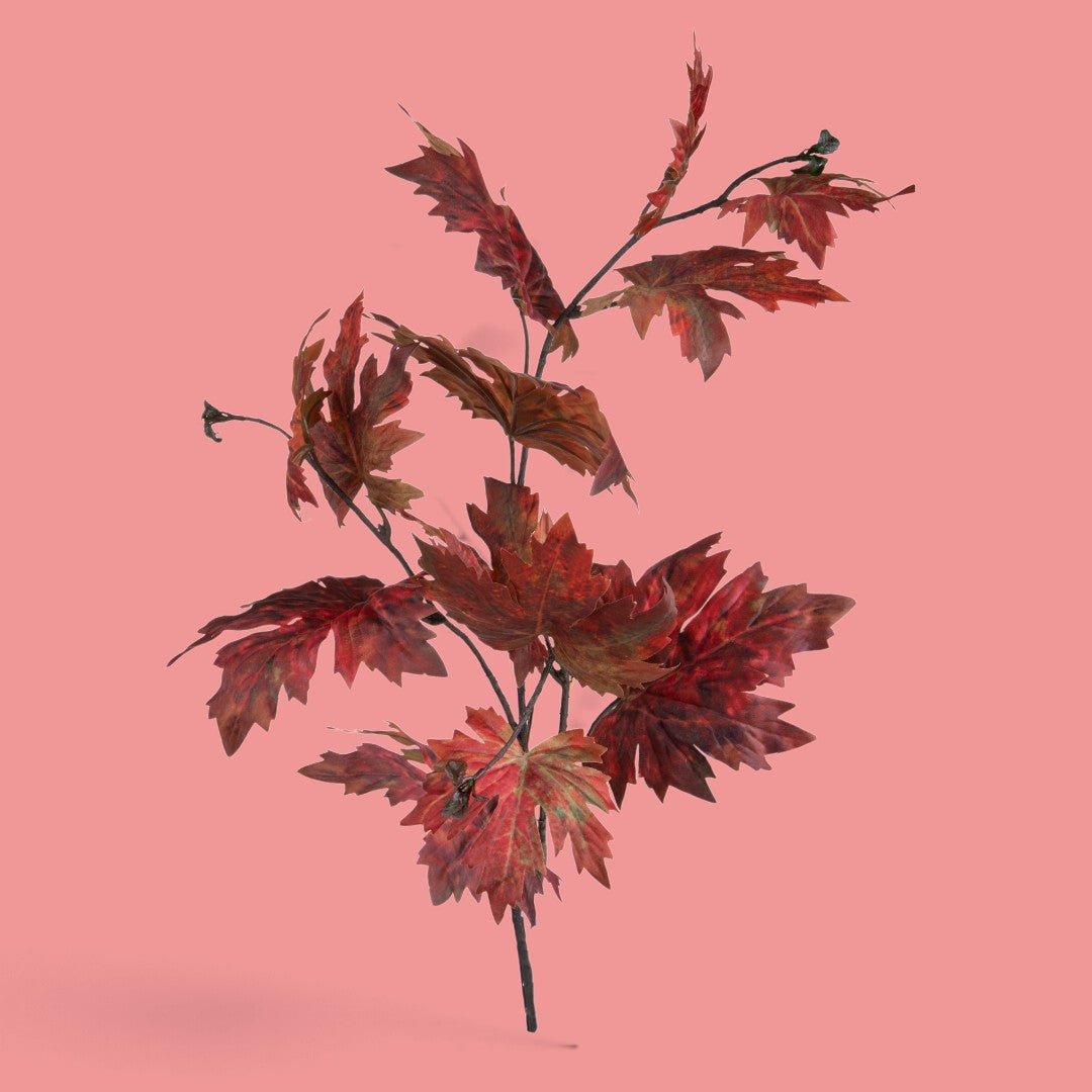 2 Pezzi • Platano autunnale grande • 98 cm