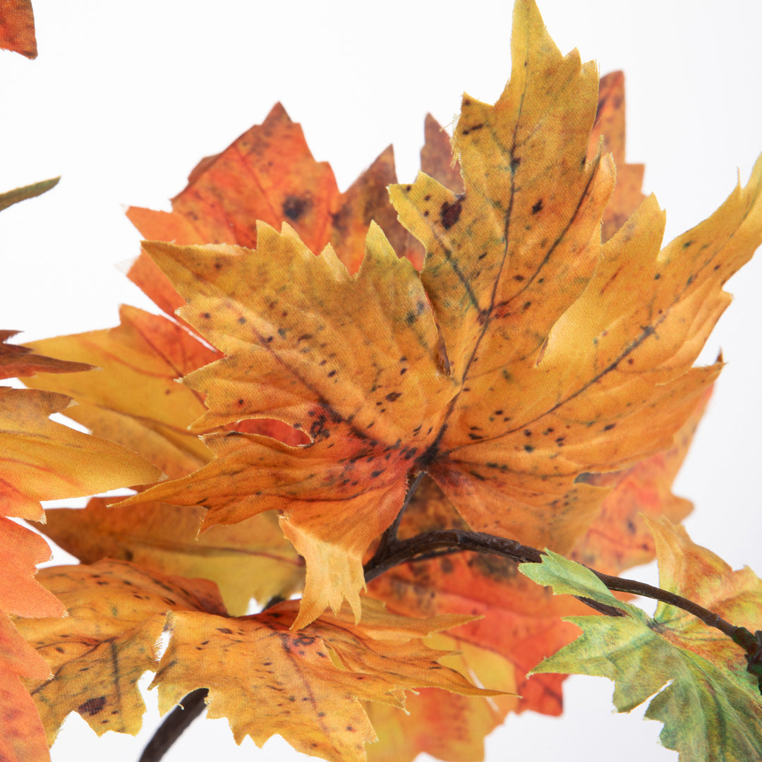 Pezzi 12 • PlatanoAutunnale • H 99 cm