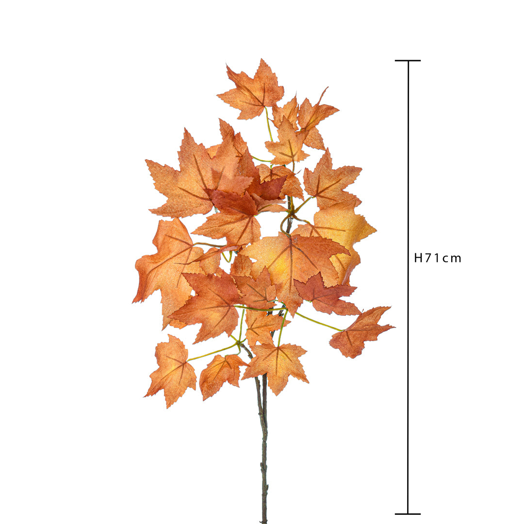 3 Pezzi • Platano autunnale piccolo • 71 cm