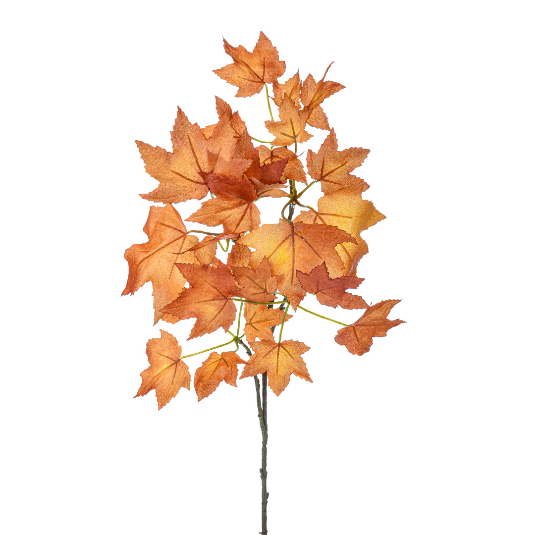 3 Pezzi • Platano autunnale piccolo • 71 cm