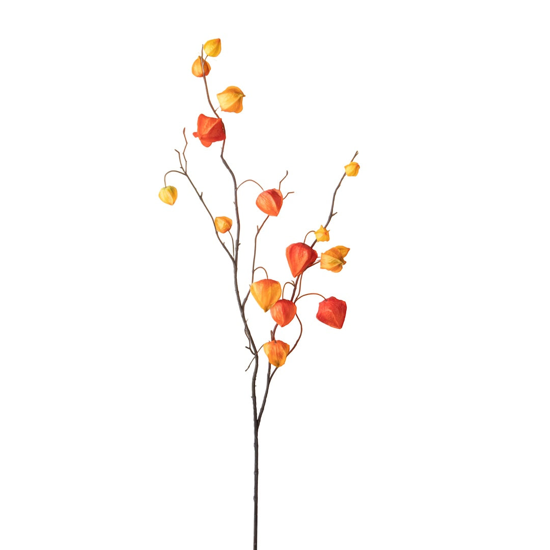 2 Pezzi • Physalis ramo artificiale • 100 cm