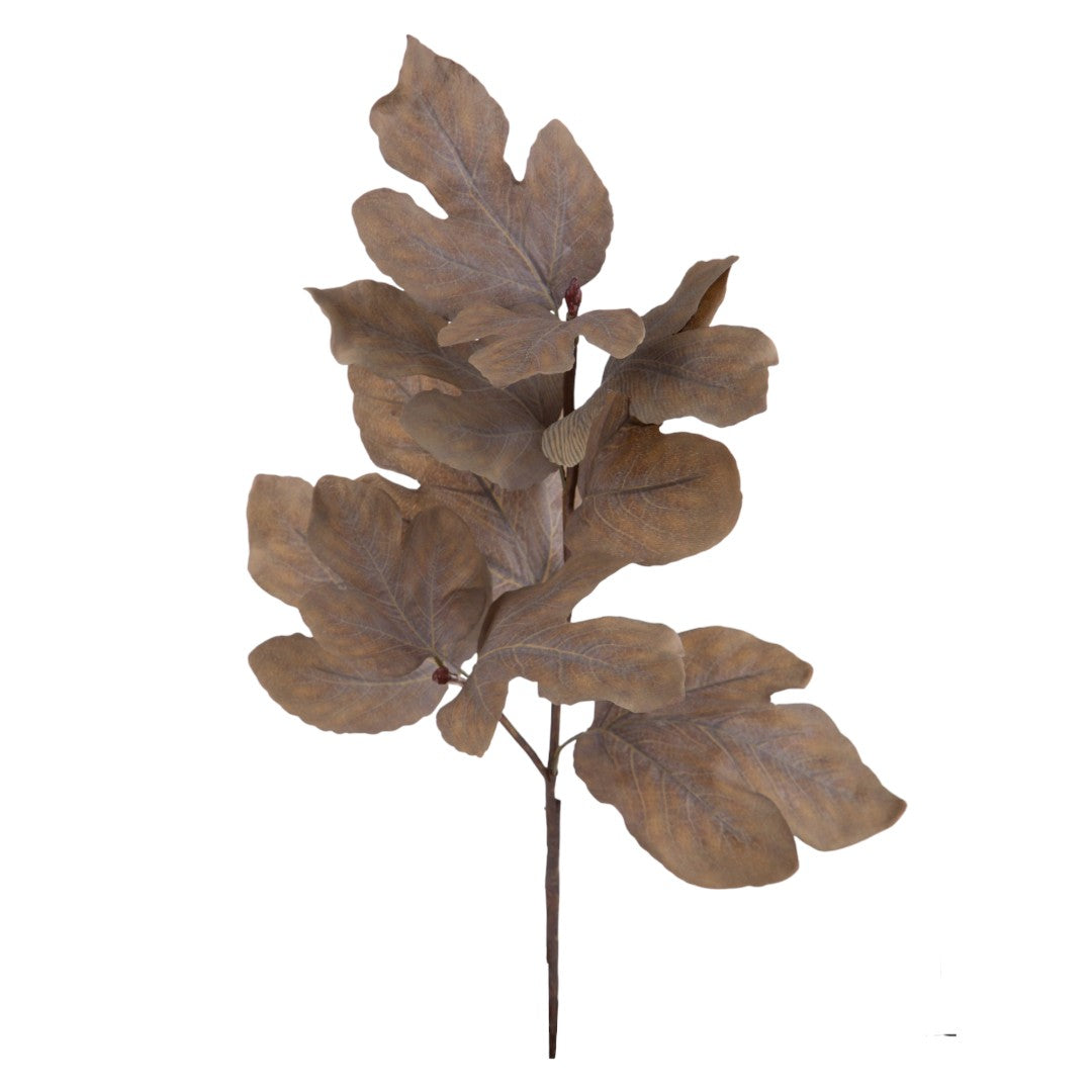 2 Pezzi • Ramo Pianta Fico • 101 cm