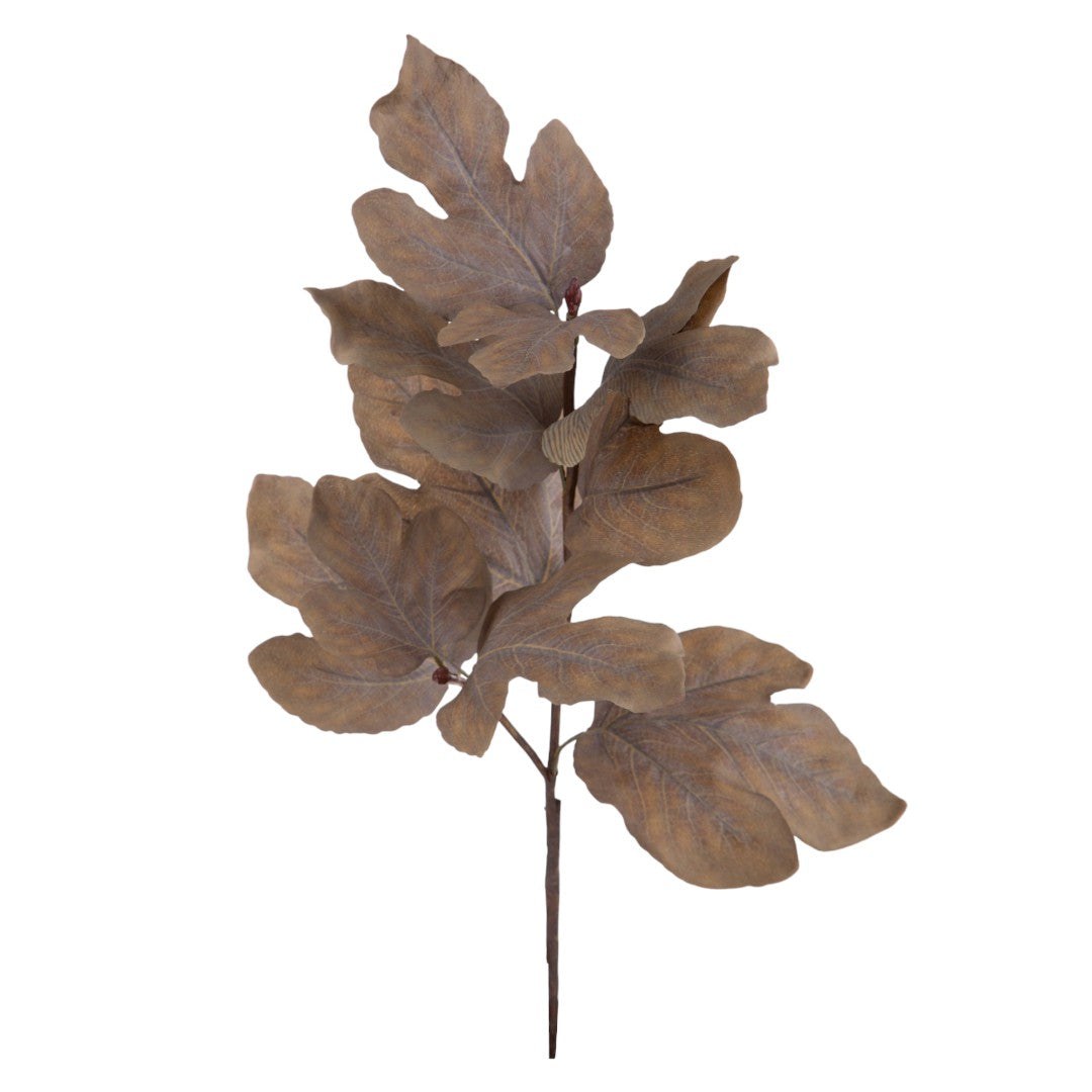 2 Pezzi • Ramo Pianta Fico • 101 cm
