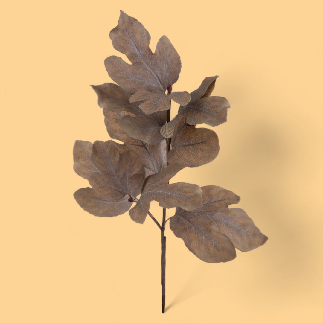 2 Pezzi • Ramo Pianta Fico • 101 cm
