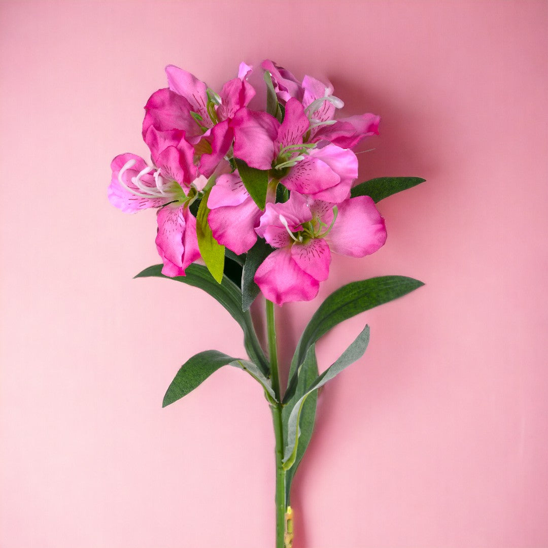 8 Pezzi • Fiore di Alstromeria artificiale • 62 cm