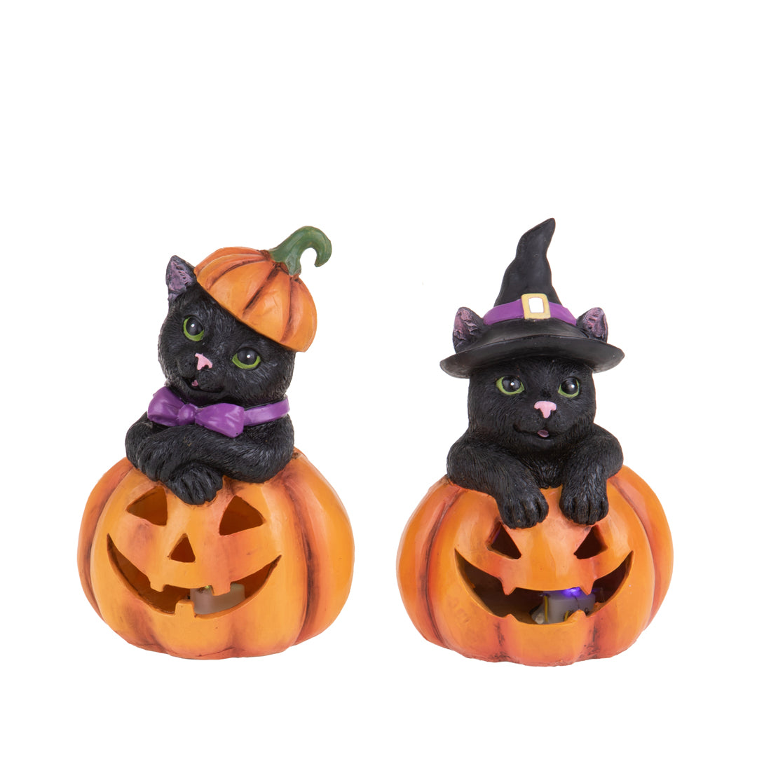 Set di due zucche con gatti neri • 16,5 cm