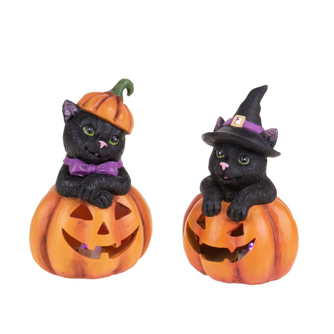 Set di due zucche con gatti neri • 16,5 cm