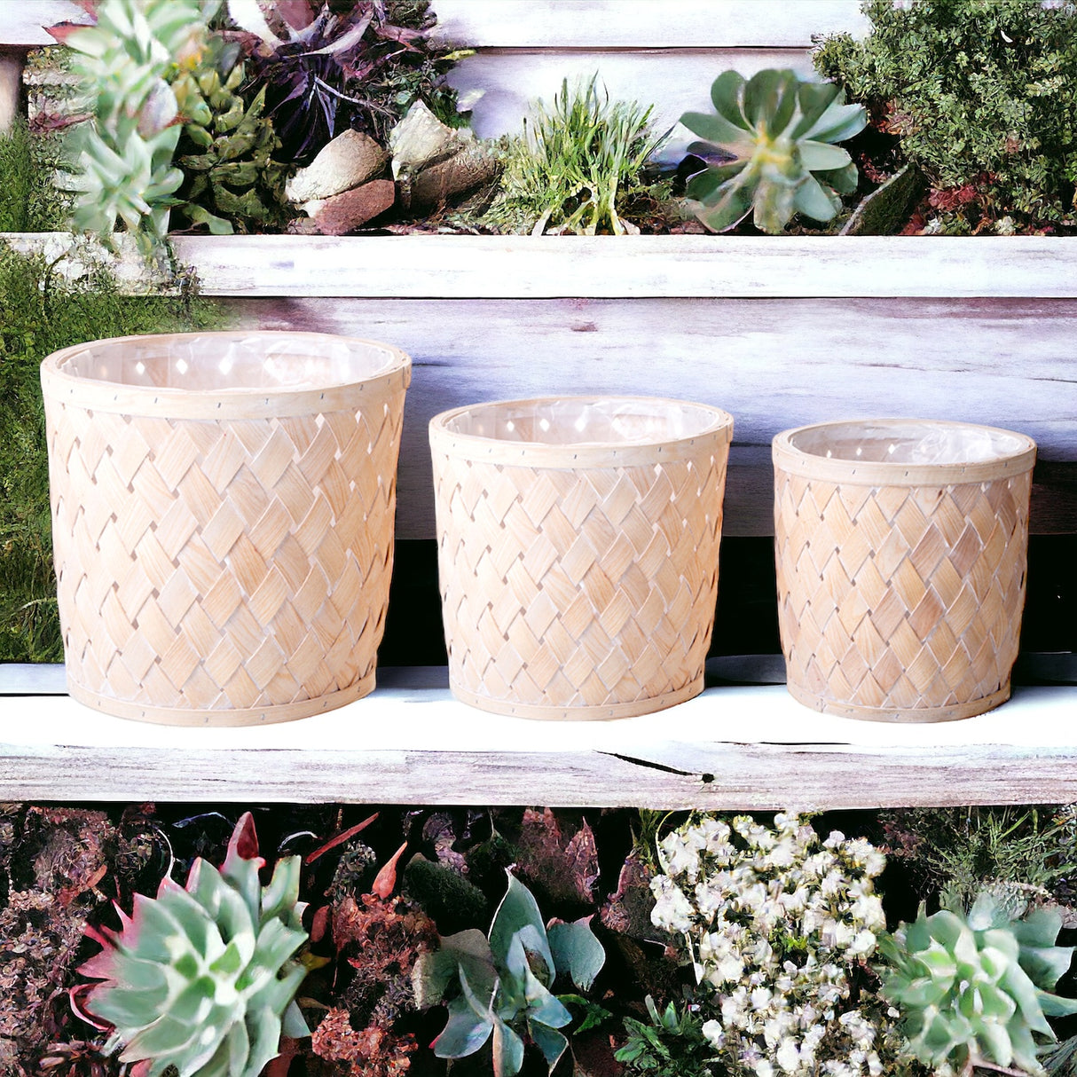 Set di 3 cachepot • 30 cm