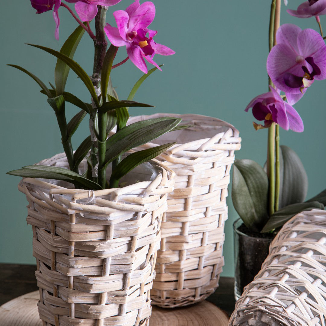 6 Pezzi • Cachepot per orchidea • 17 cm