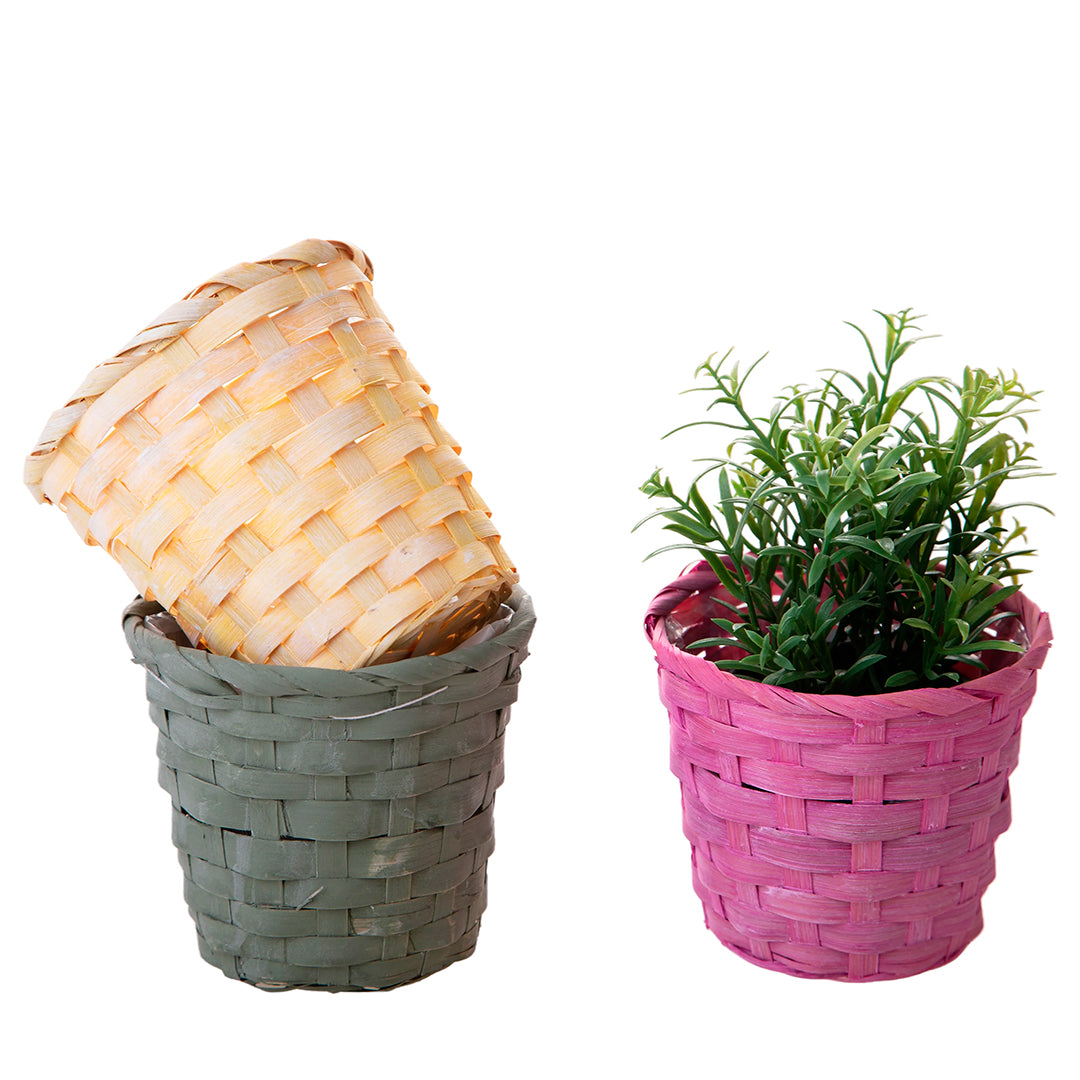 12 Pezzi • Cachepot in vimini • 11,5 cm