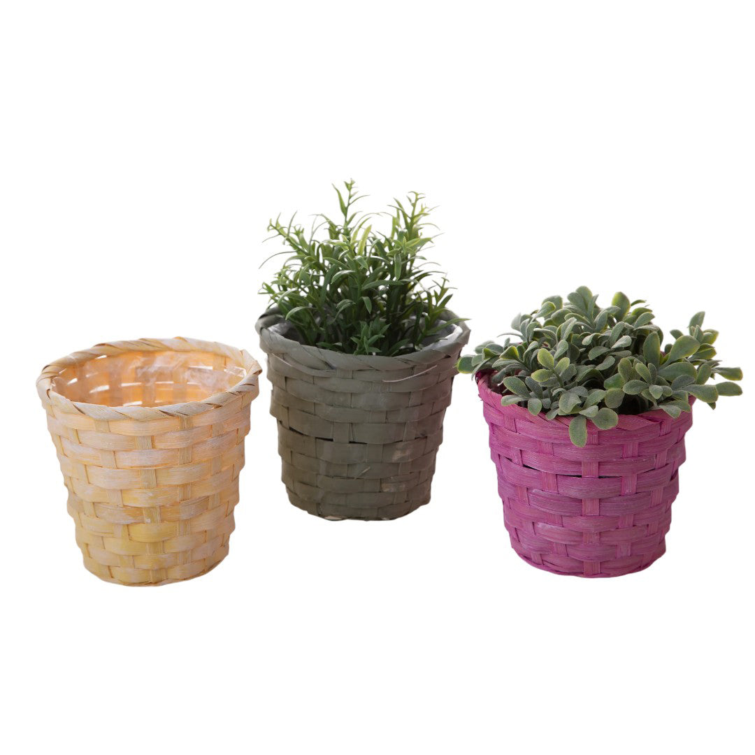 12 Pezzi • Cachepot in vimini • 11,5 cm