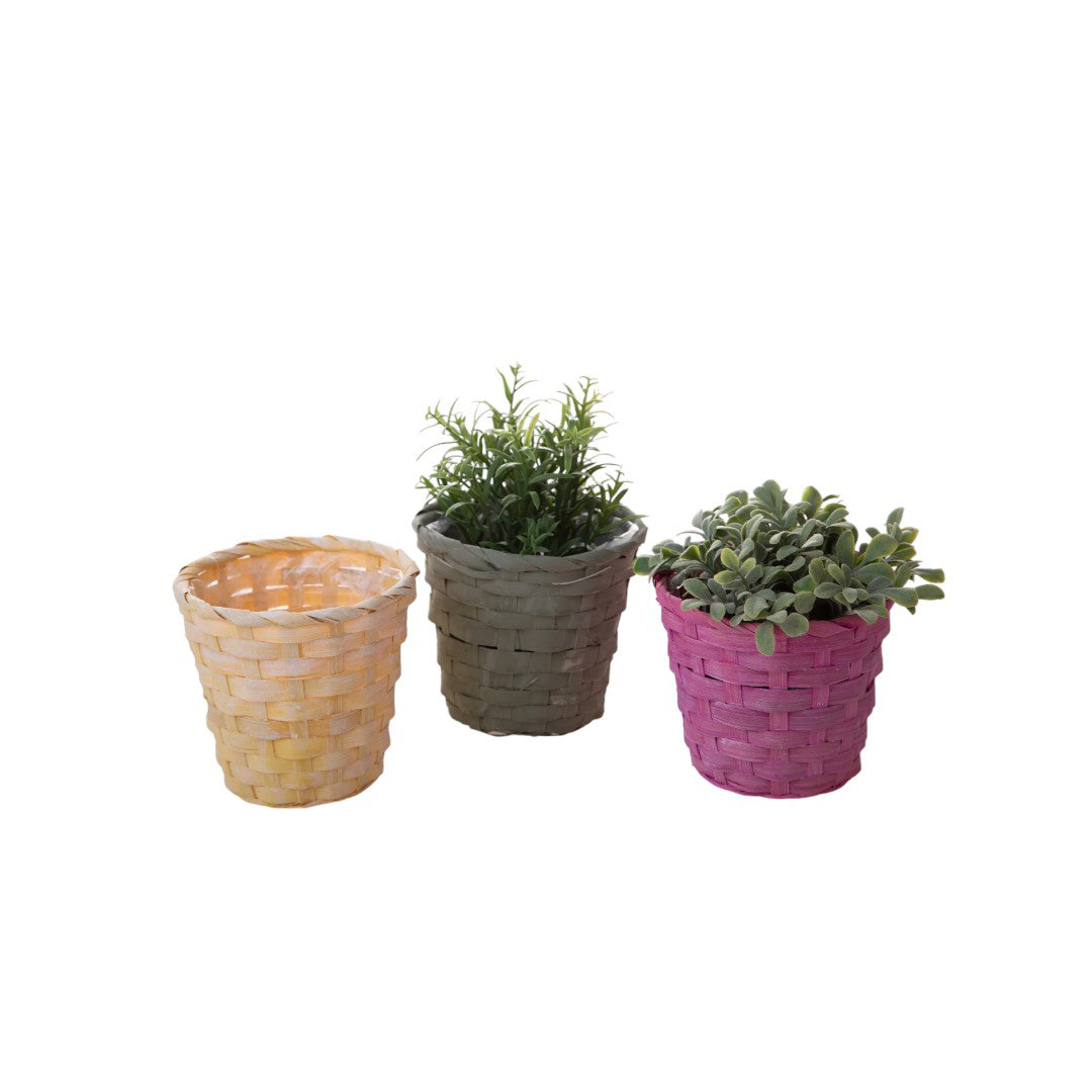 12 Pezzi • Cachepot in vimini • 11,5 cm