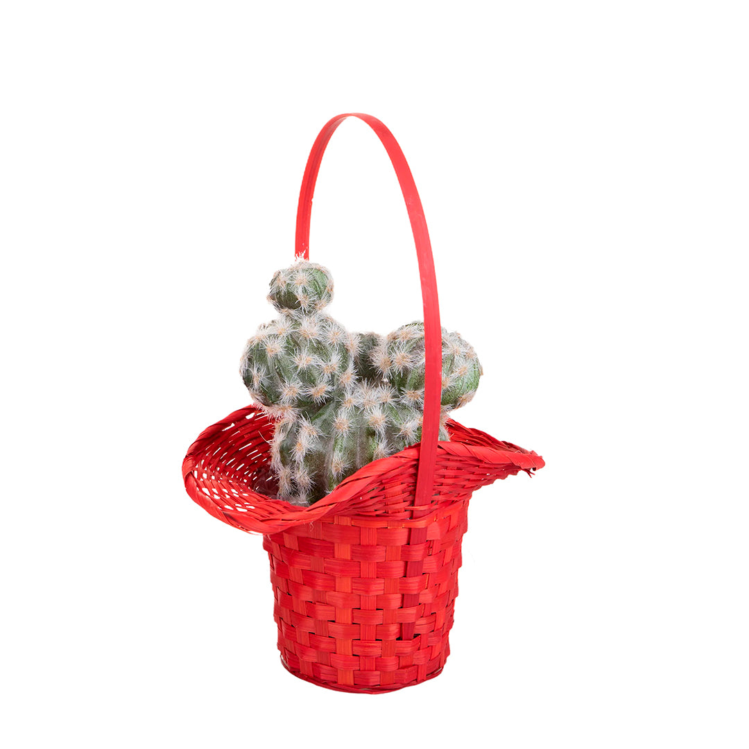 2 Pezzi • Cesto a forma di cappello in vimini • 35 cm