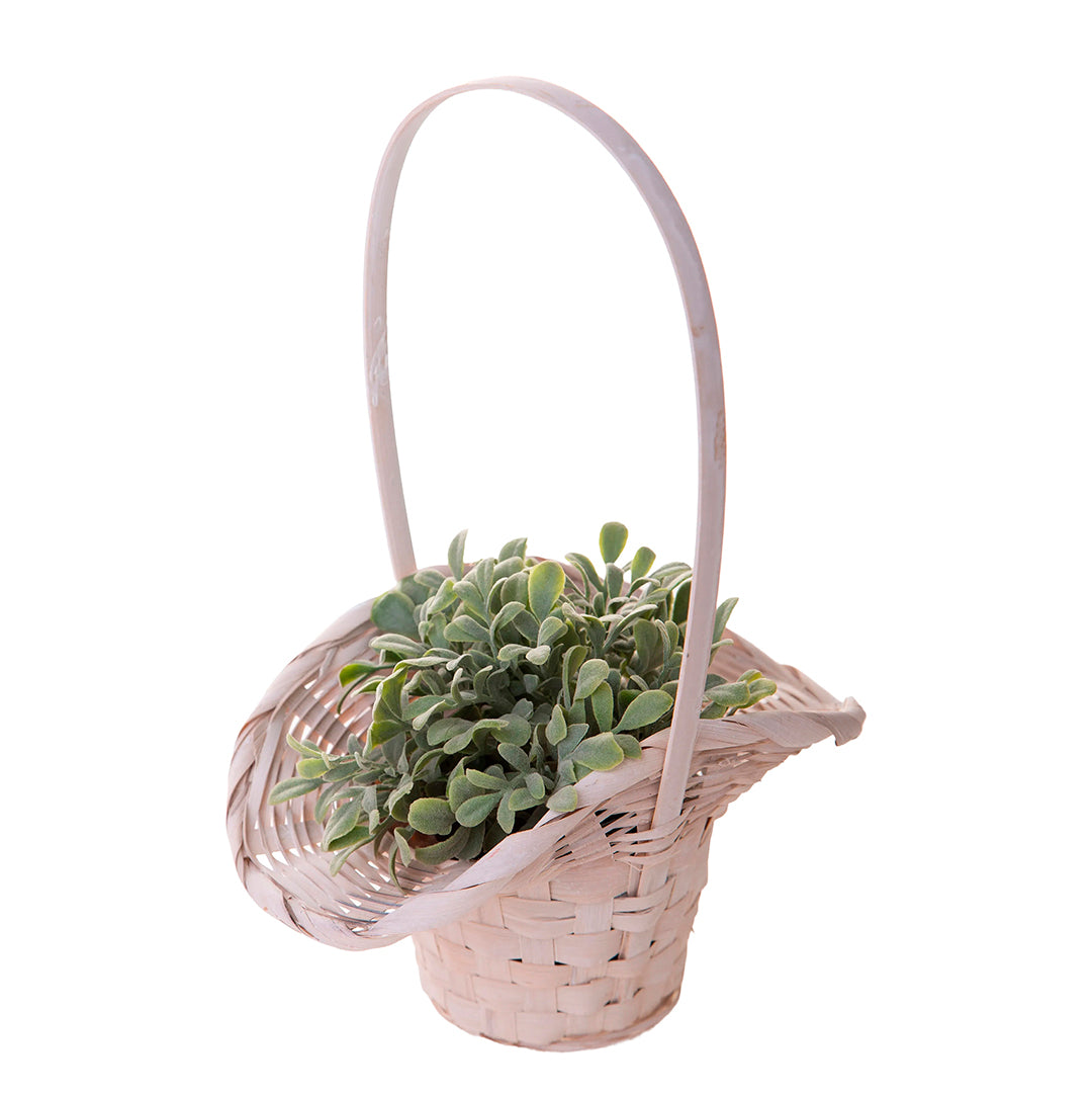 3 Pezzi • Cesto cappello vimini • 35 cm