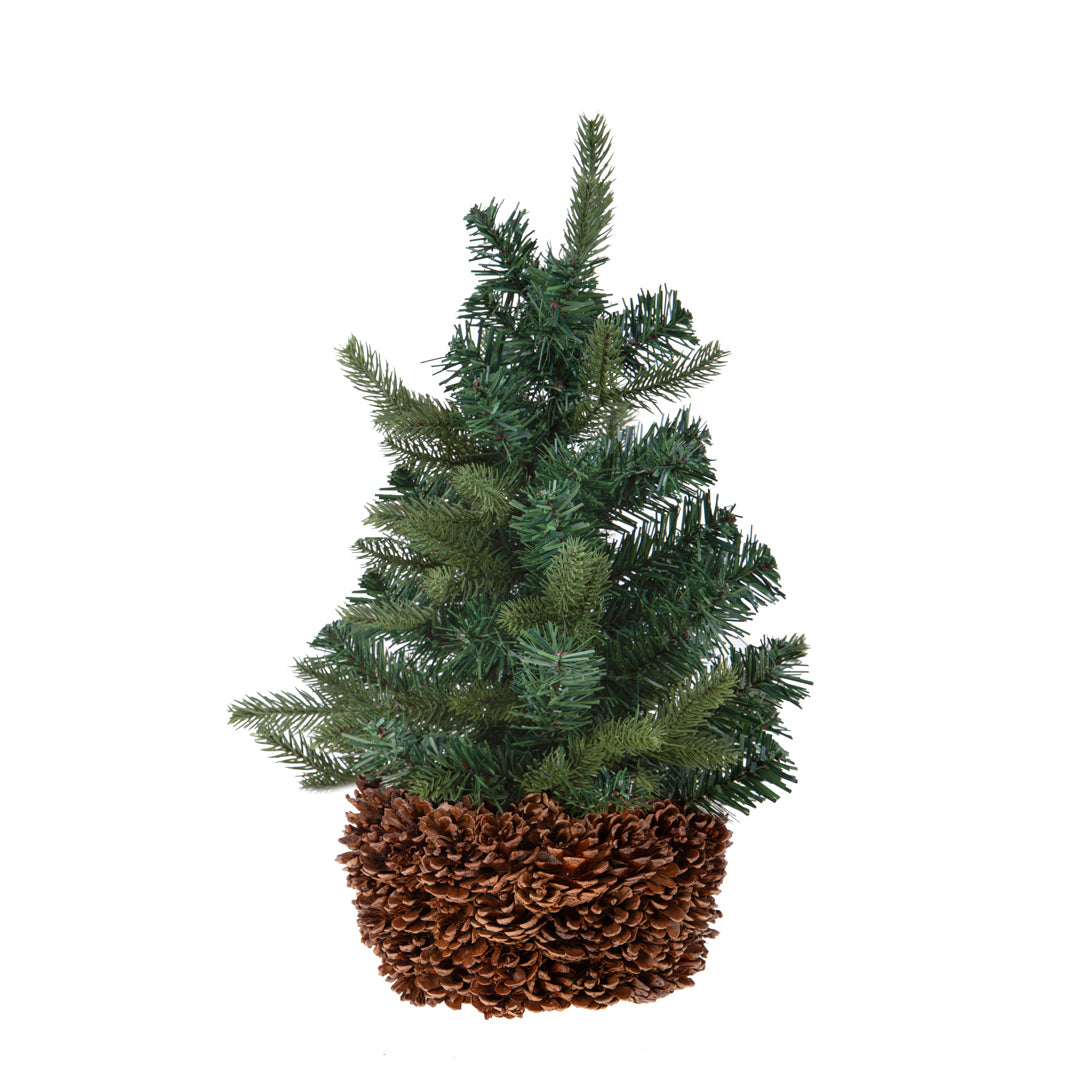 Cachepot con Pigne Naturali • 12 cm