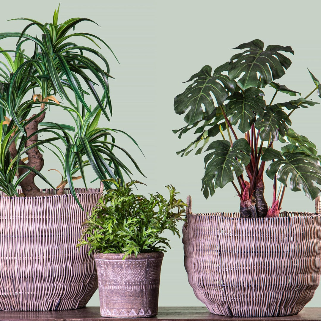 Set 2 cesto materiale rattan willow • 30 cm