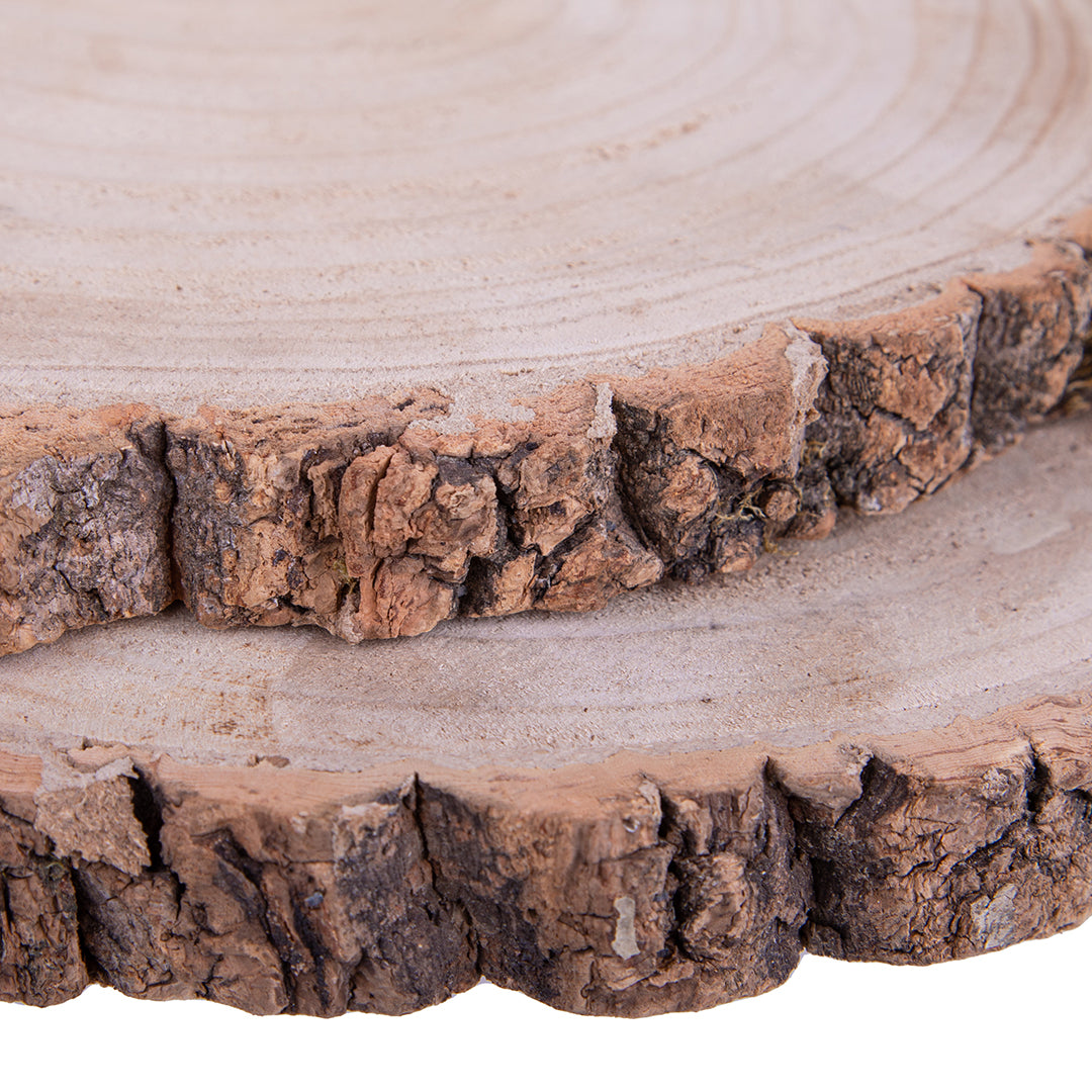 Fetta di legno • 2,5 cm