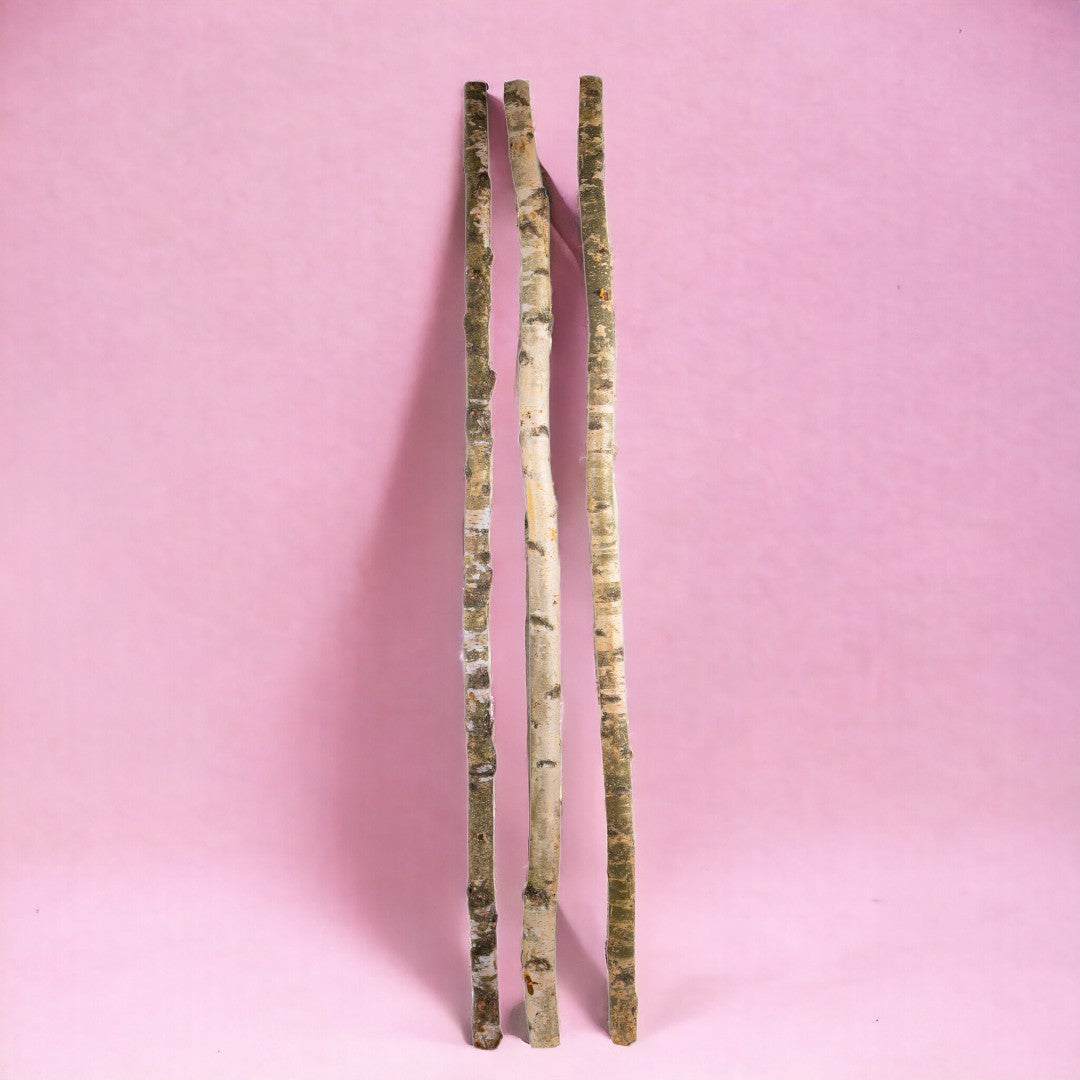 Tronco di betulla • 200 cm