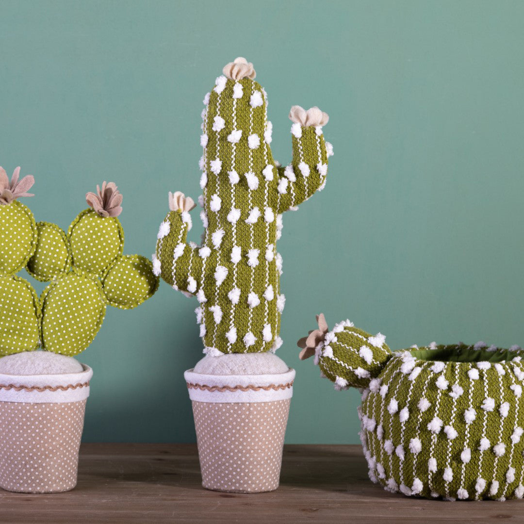 Cactus cachepot • 28 cm
