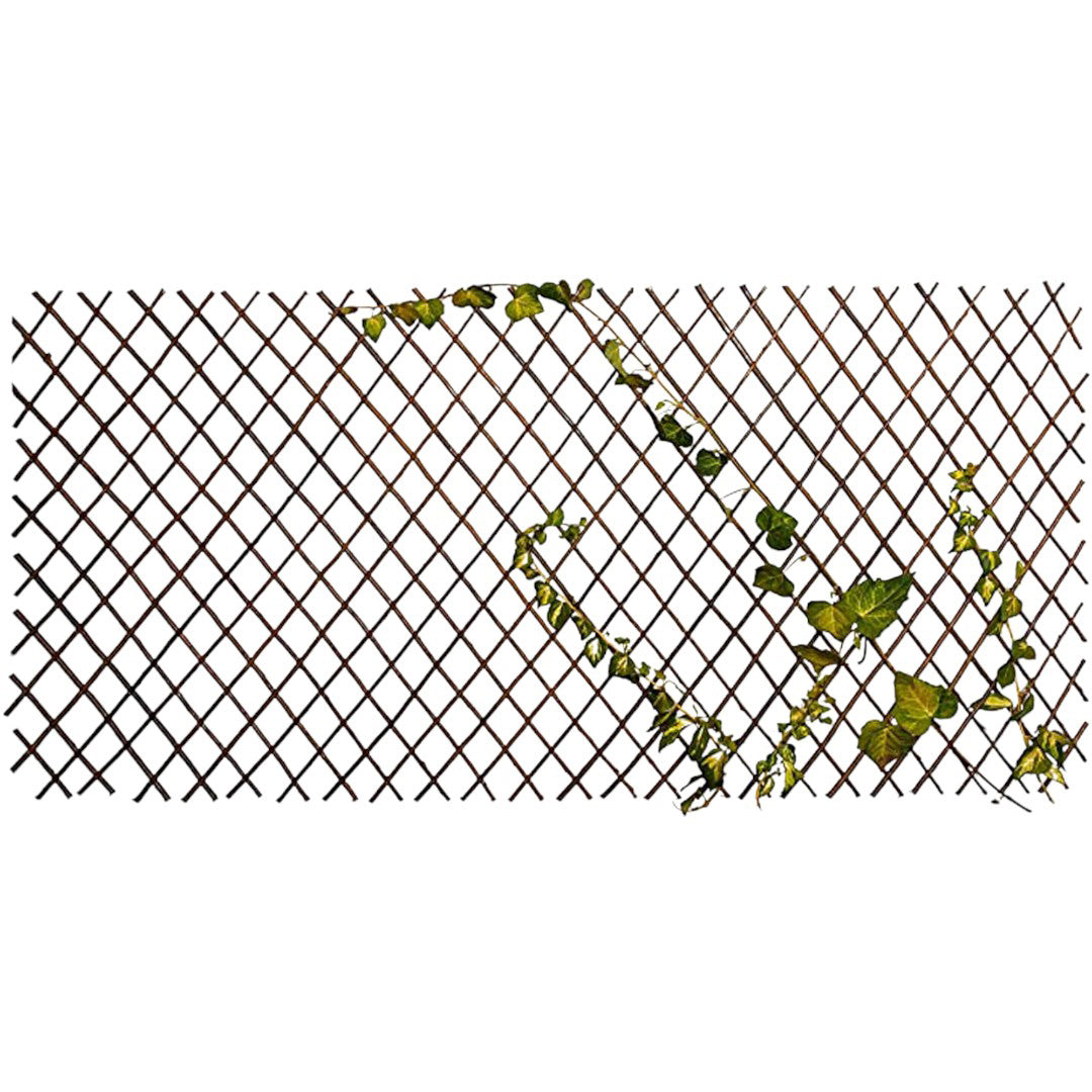 Estensibile • 150 cm