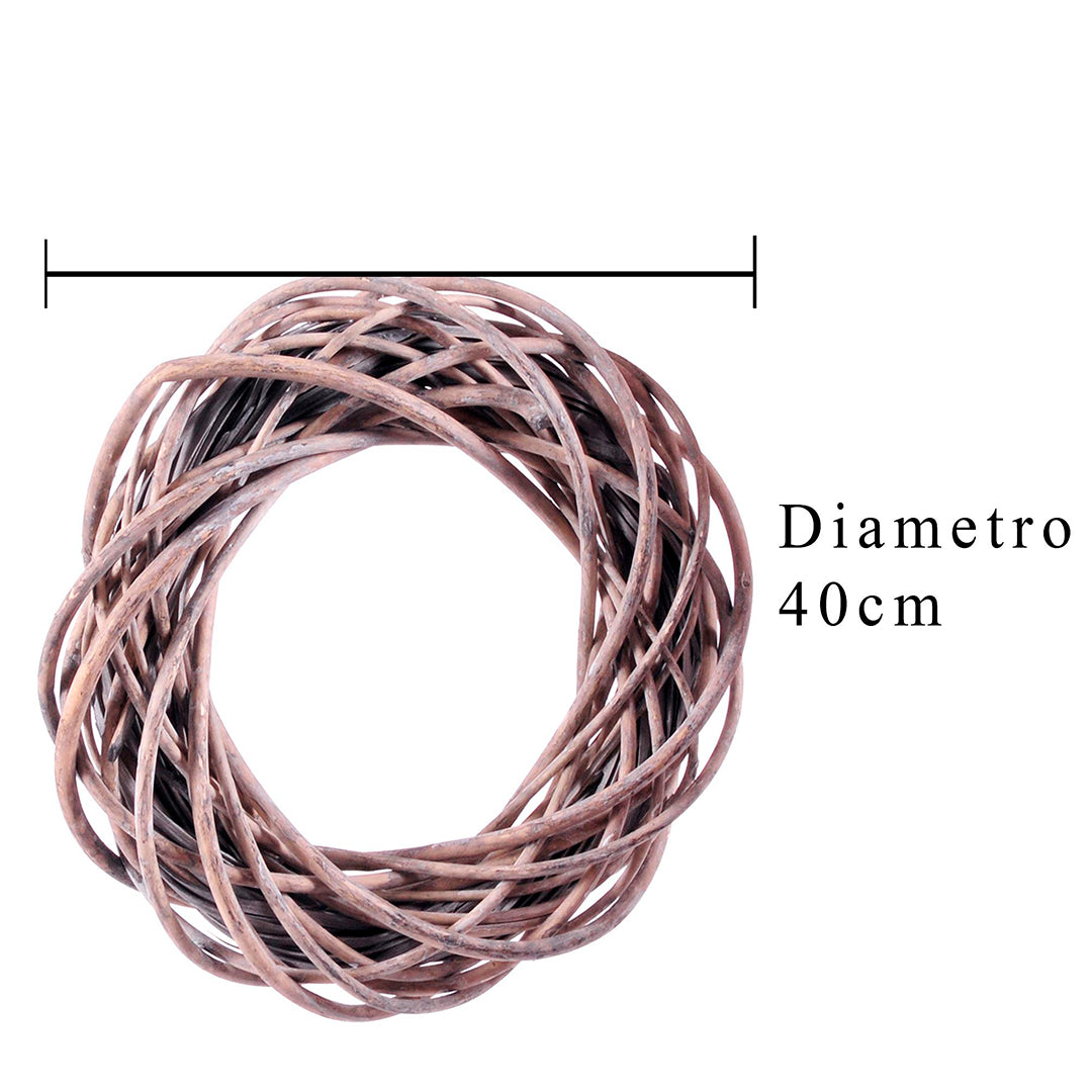 Corona grey willow • 40 cm