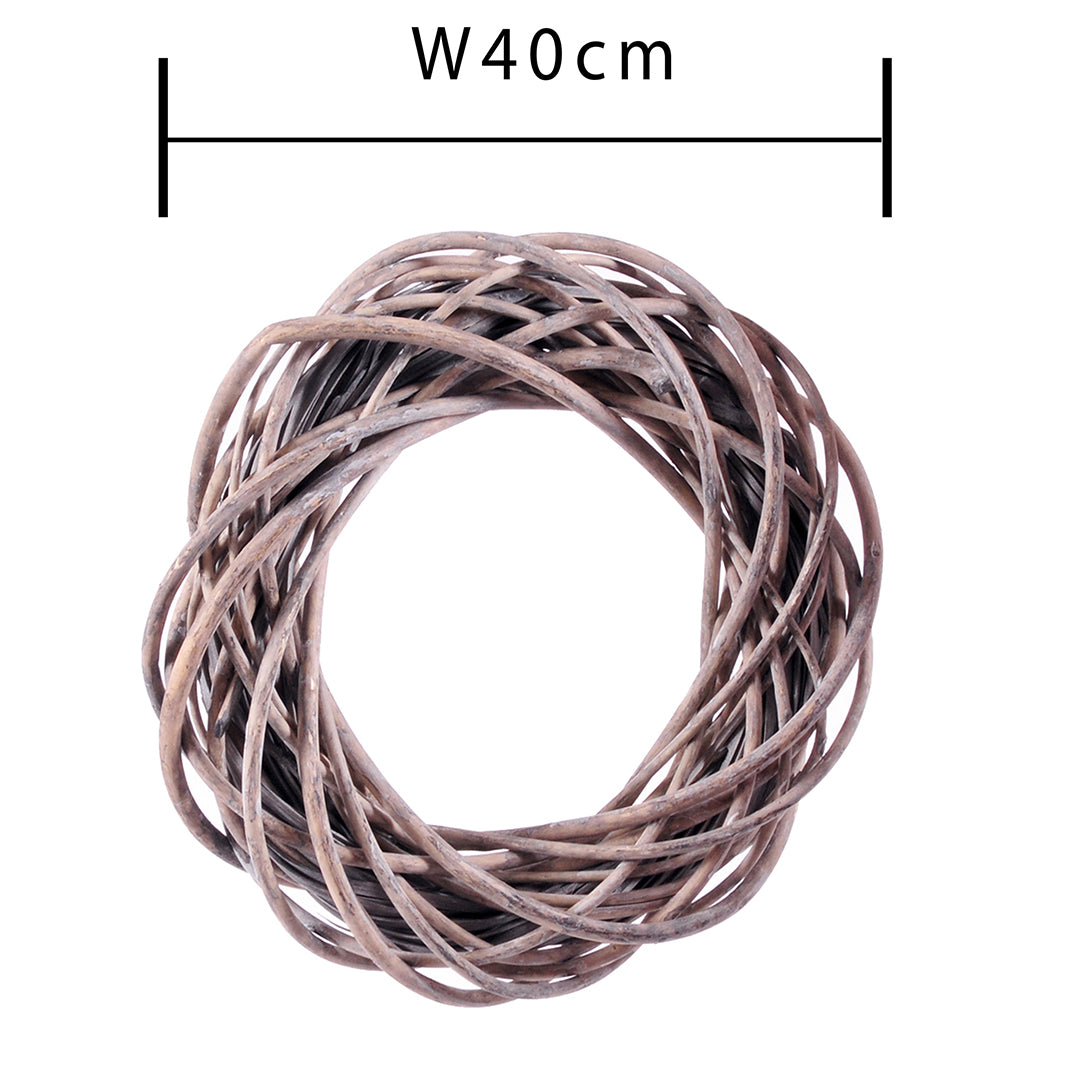 Corona grey willow • 40 cm