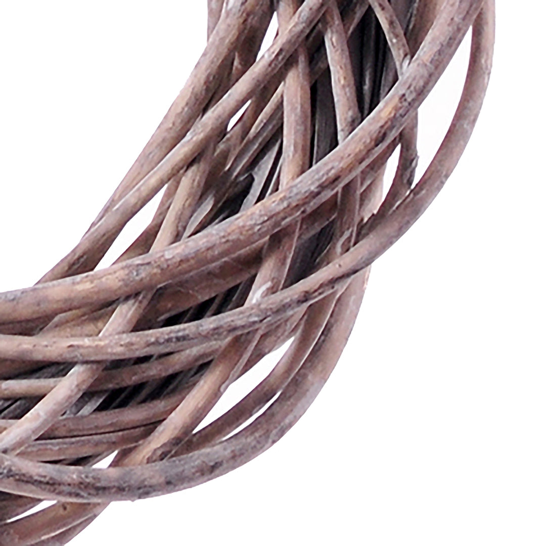 Corona grey willow • 40 cm