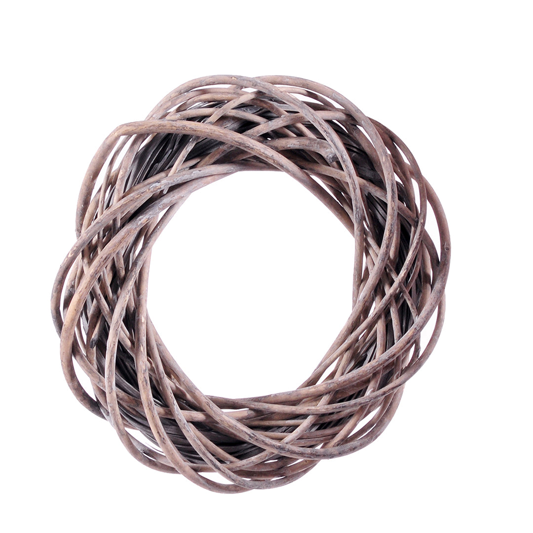 Corona grey willow • 40 cm