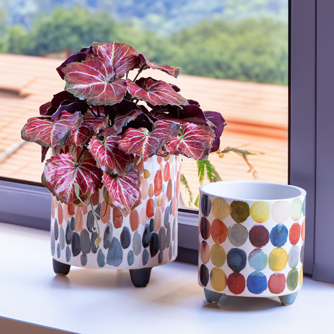 Set 2 cachepot • 14,7 cm