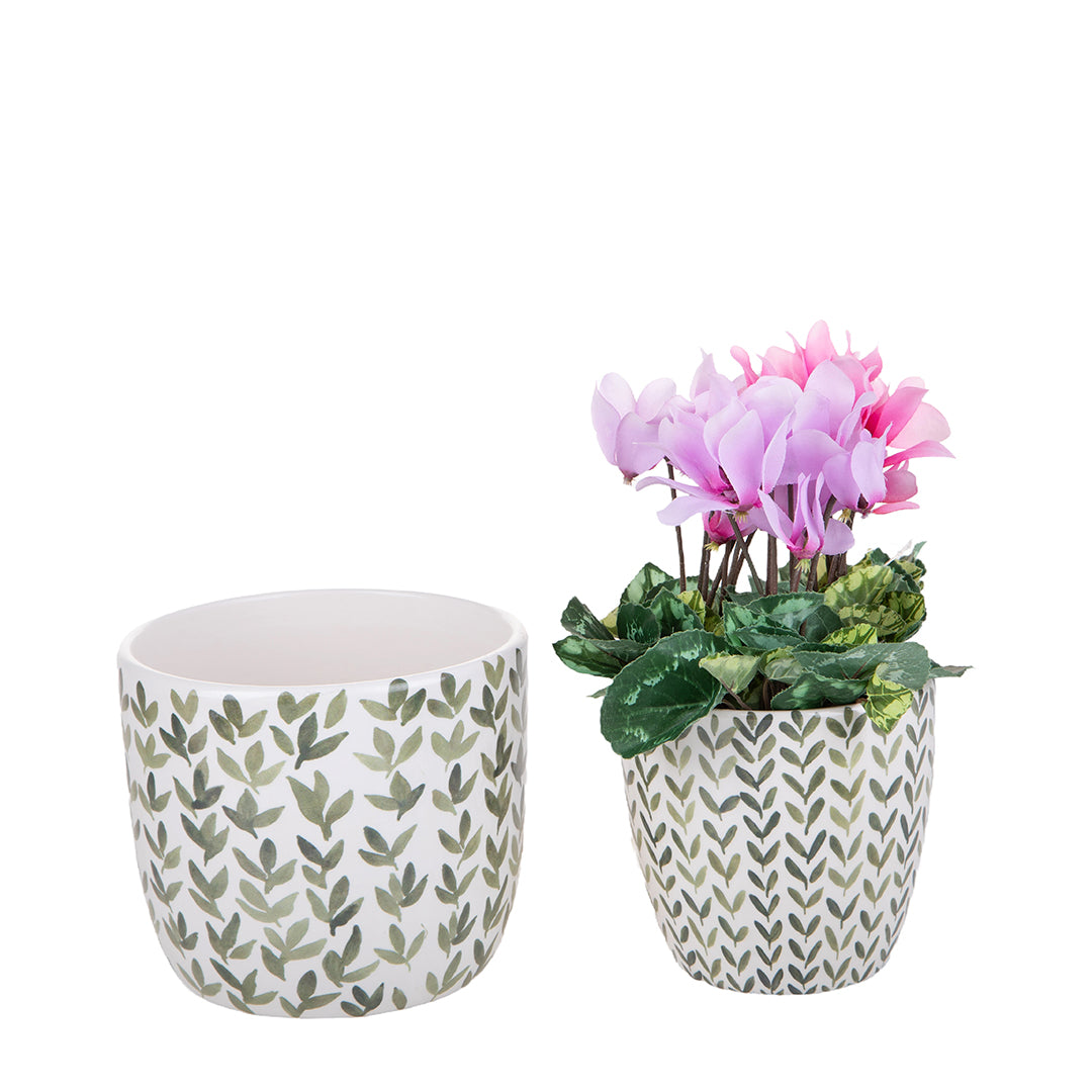 2 Pezzi • Set 2 vaso • 12,5 cm