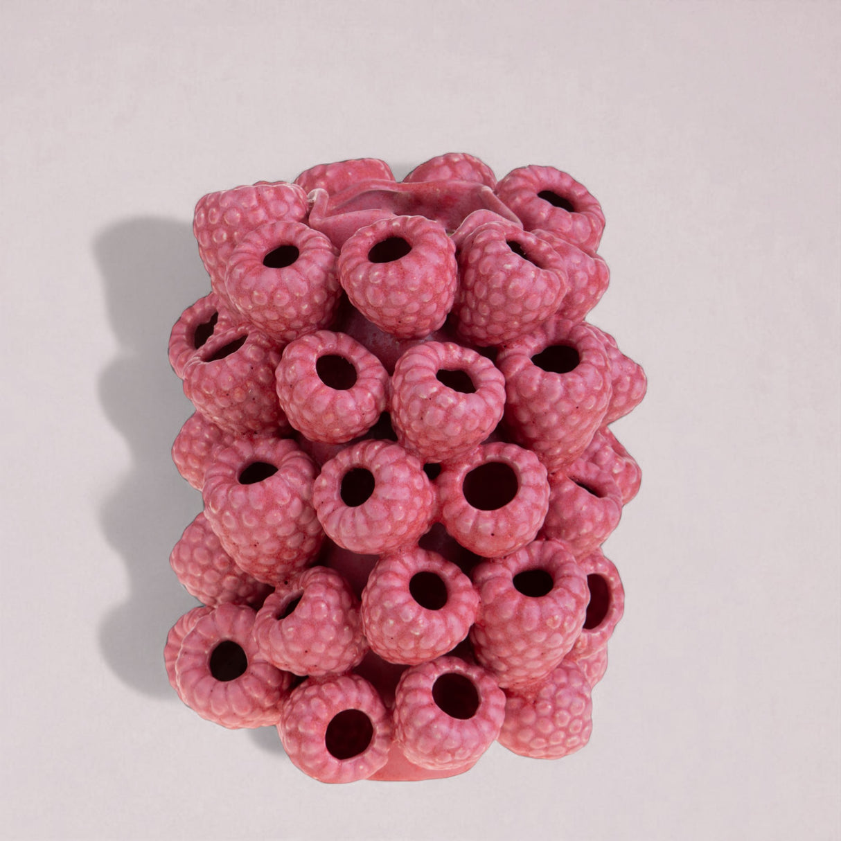 Vaso con lamponi • 30 cm