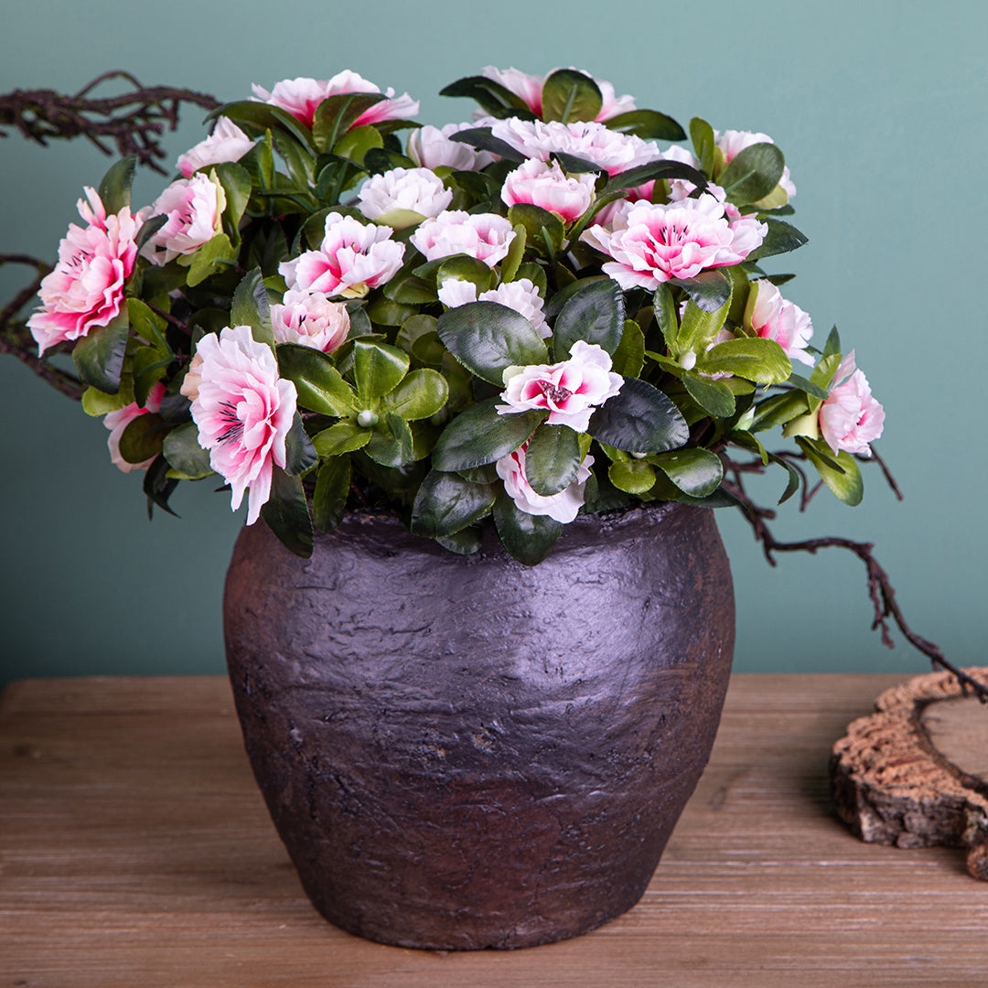Azalea per 7 • 38 cm