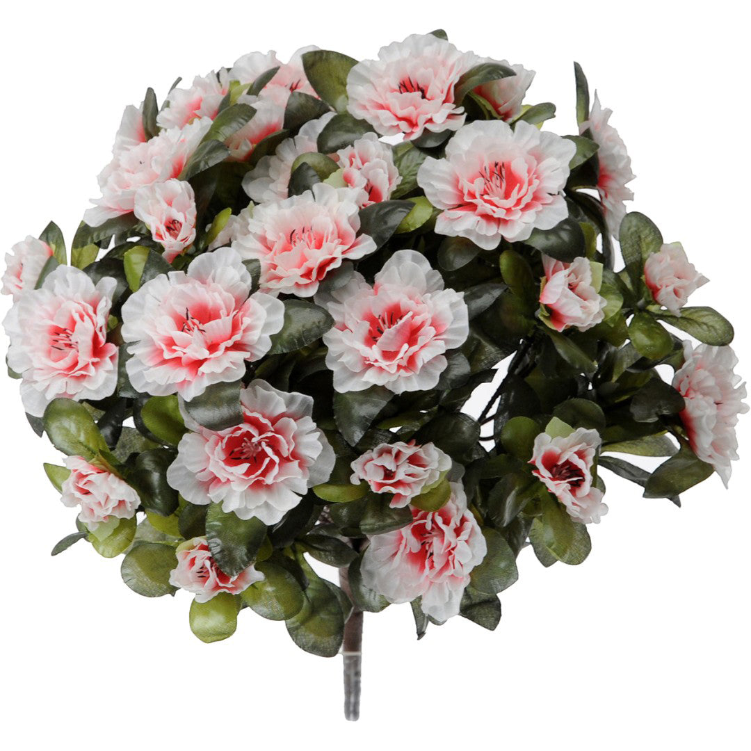 Azalea per 7 • 38 cm