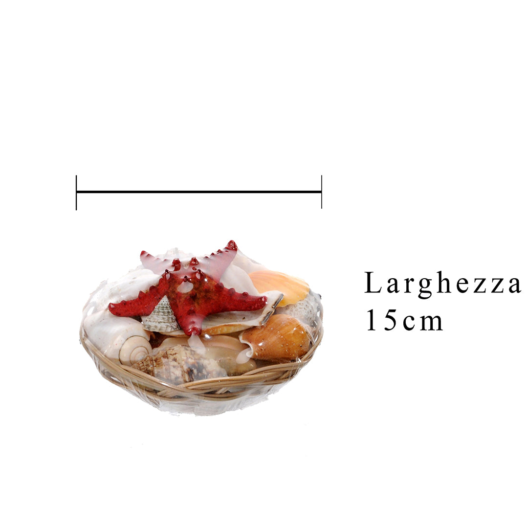 6 Pezzi • Conchiglie assortito con cesto • 15 cm