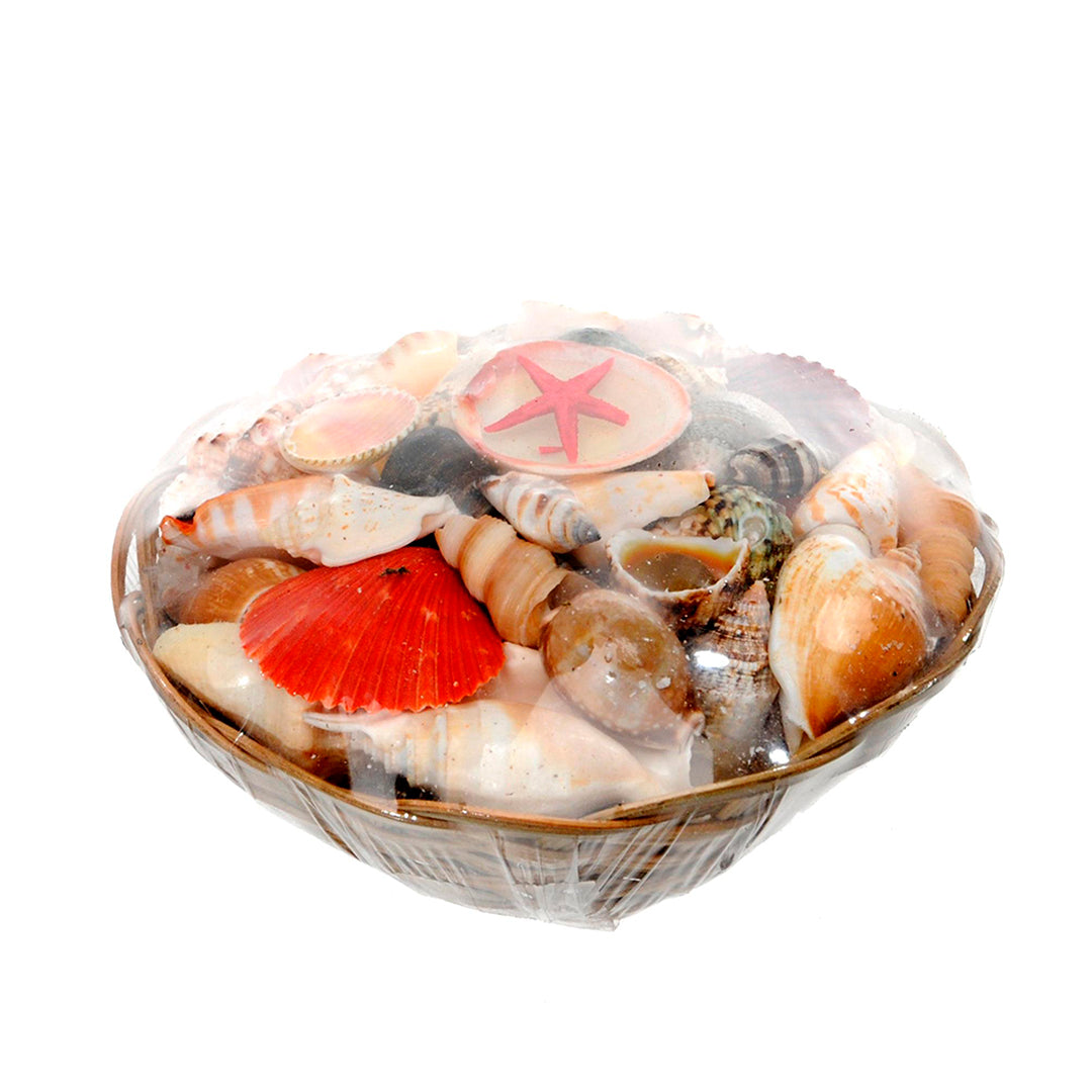 Conchiglie assortito con cesto • 25 cm