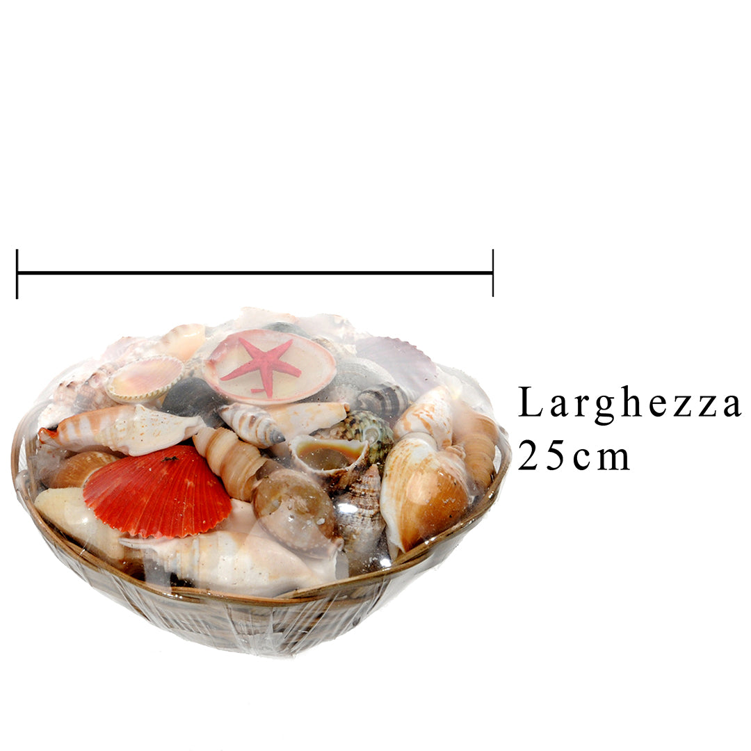 Conchiglie assortito con cesto • 25 cm